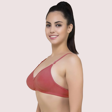 Havde Lightly Padded Classic Comfort Bra Pack of 2 — Everyday India