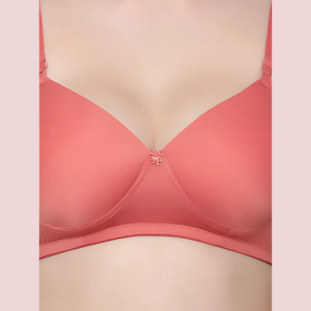 Havde Non-Wired Padded Bra 6 Pack — Everyday Comfort Essentials