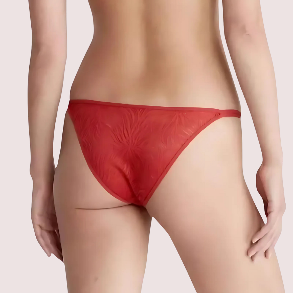 Exclusive havde Daina Lace Tanga Panties Luxury Gift Box