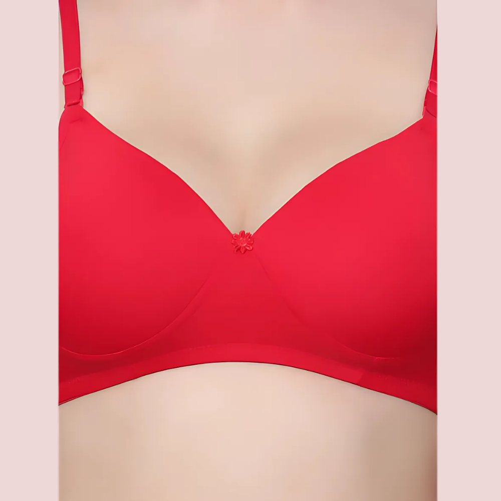 Havde Wire-Free Padded Bra 2 Pack — PureComfort Daily Combo