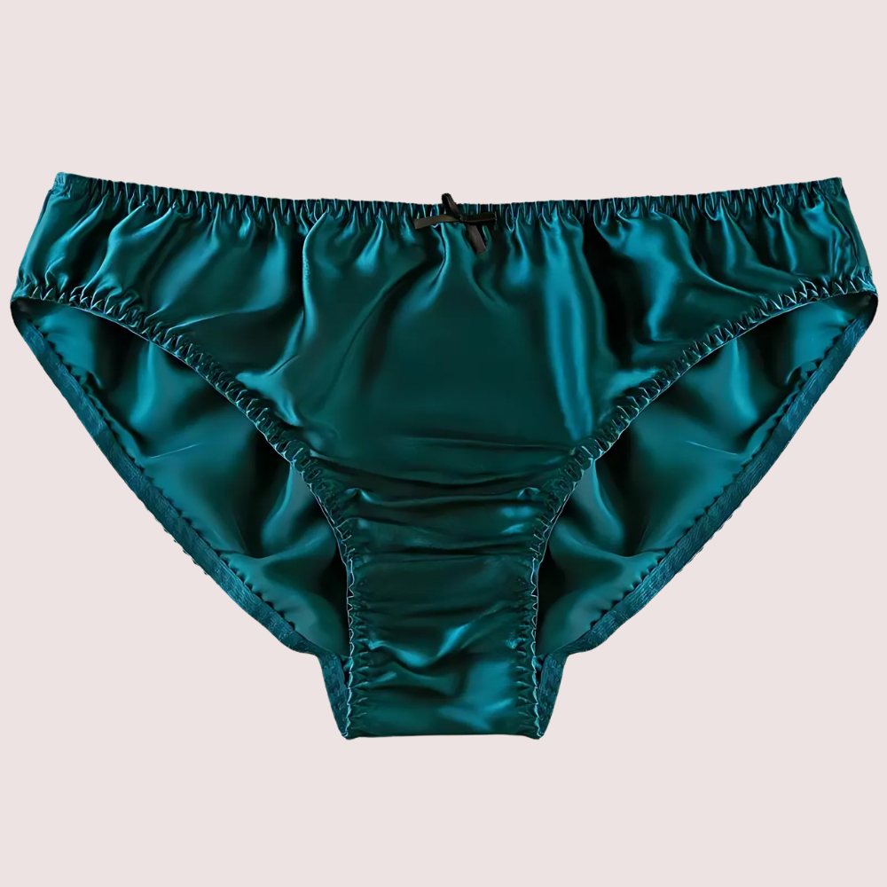 havde Daina Ultra Luxury Silk Satin Lace Briefs Gift Box